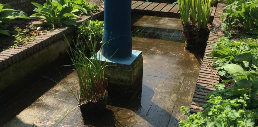 Onderhoud tuin Oostzaan